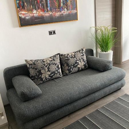 Livi Apartment 1 Satu Mare Eksteriør billede